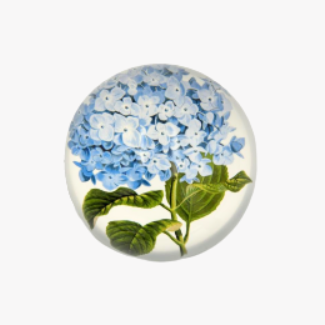 Hydrangea Paper Weight