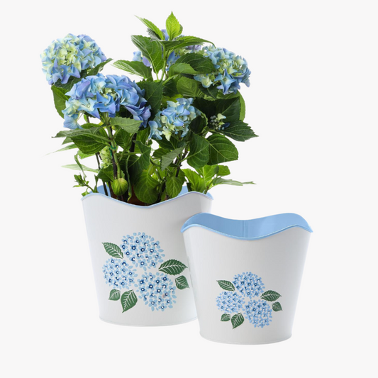 Hydrangea Blue Flower Cachepots