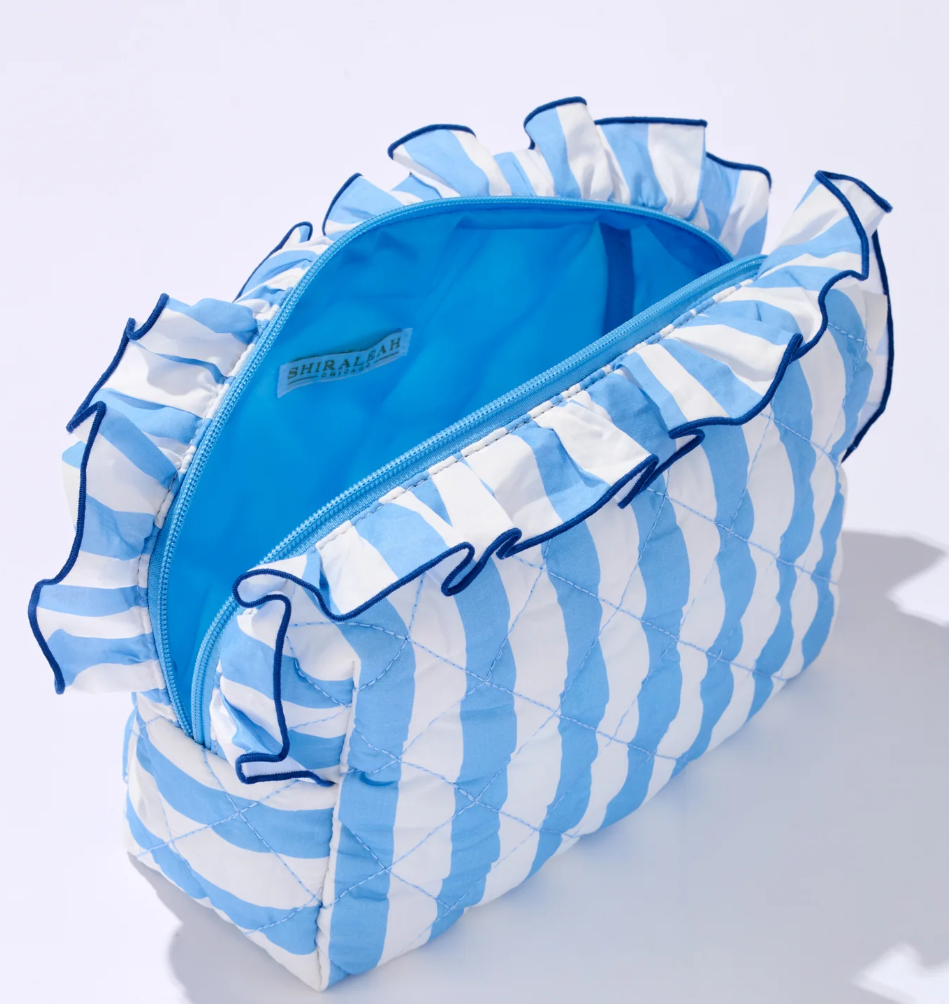 Blue Stripe Fancy Large Zip Pouch