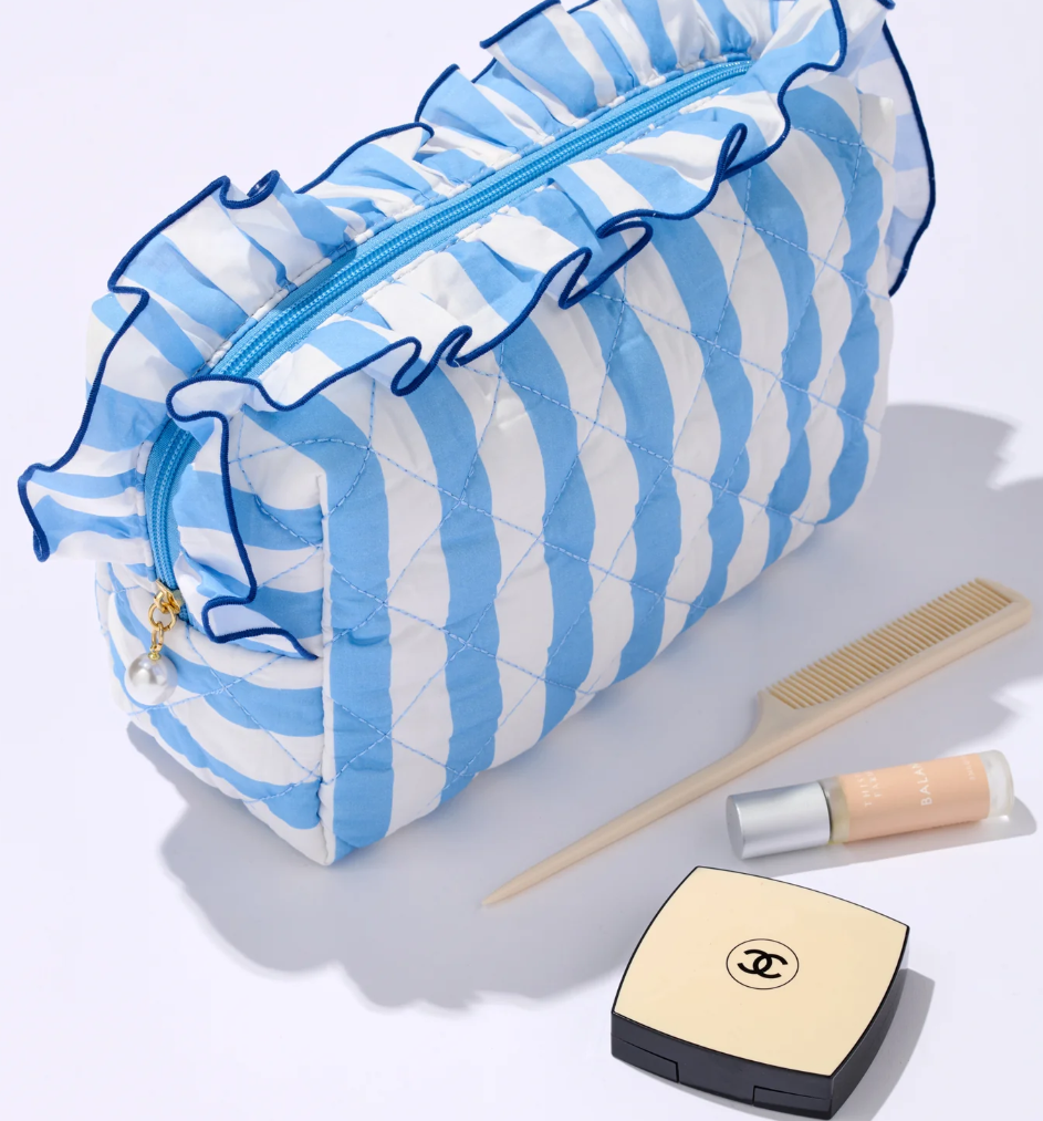 Blue Stripe Fancy Large Zip Pouch