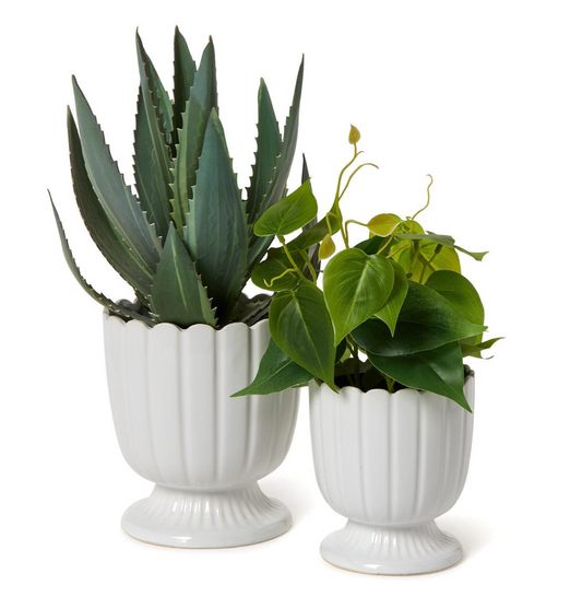 Scalloped Edge Planter