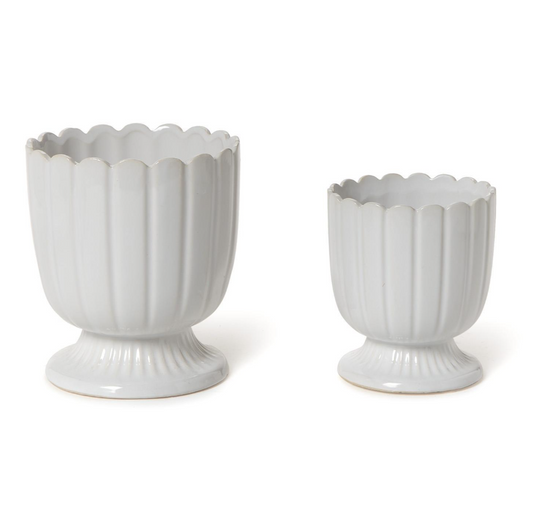 Scalloped Edge Planter
