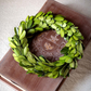 Mini Preserved Boxwood Wreath