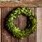 Mini Preserved Boxwood Wreath