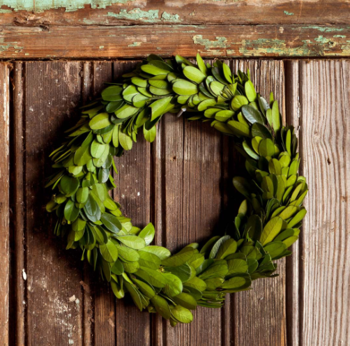 Mini Preserved Boxwood Wreath