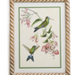 Hummingbird Framed Wall Art Prints