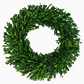 Naturally Preserved Green Boxwood Wreath 21" + Hanging Loop