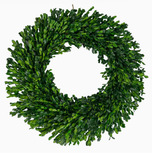 Naturally Preserved Green Boxwood Wreath 21" + Hanging Loop