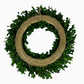 Naturally Preserved Green Boxwood Wreath 21" + Hanging Loop