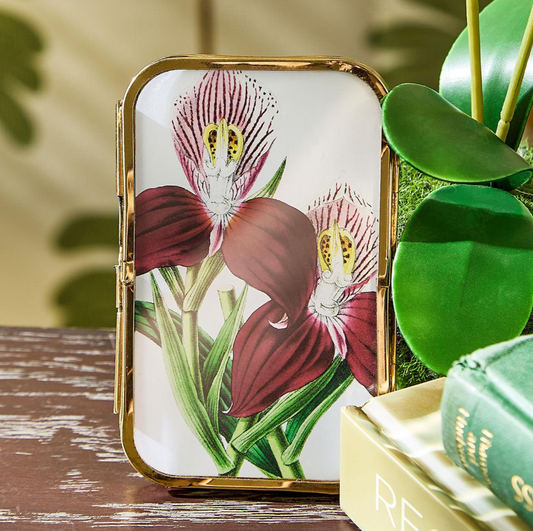 Brass and Glass Mini Metal Frames with Antique Gold Trim