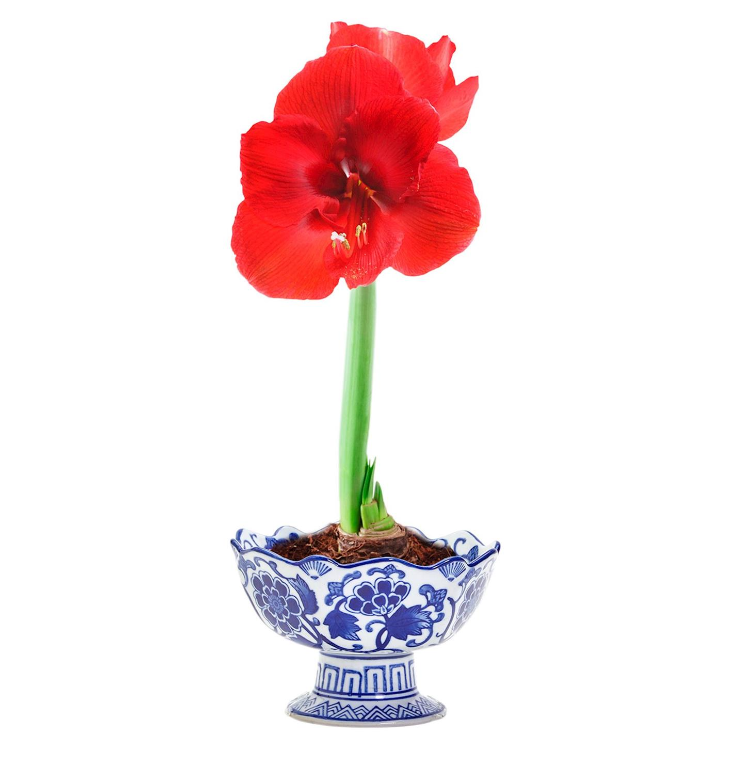Blue and White Scalloped Edge Hand-Painted Footed Bowl